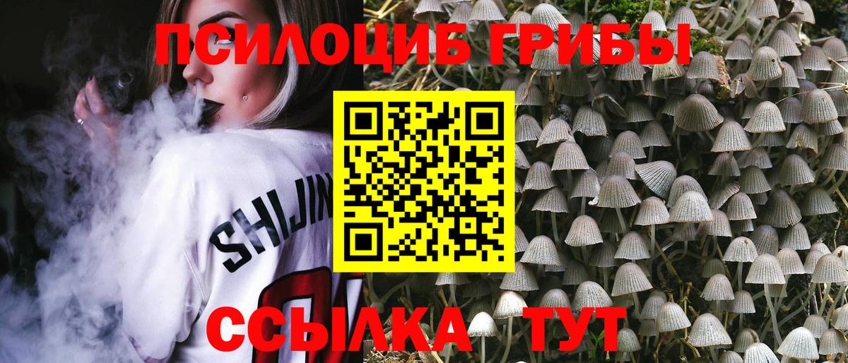 Псилоцибиновые грибы GOLDEN TEACHER  Вход с VPN  Нарткала  сколько стоит  Галлюциногенные грибы GOLDEN TEACHER 